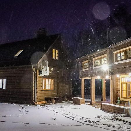 Zemene Villa Bauska Buitenkant foto